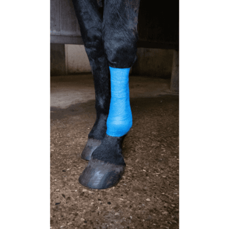 Excellent Bande pailletée 10 cm Bleu - 2