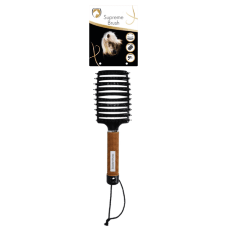 Excellent Brosse suprême Or 24,5 cm