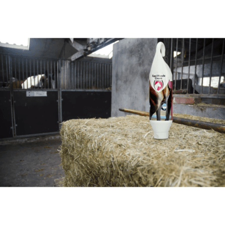 Excellent Crème musculaire 1 kg - 2