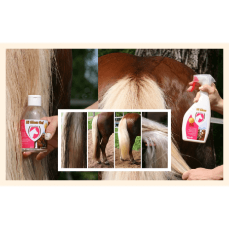 Excellent Spray brillance 500 ml - 2