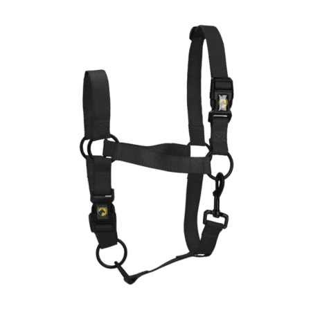Excellent Licol Essential Noir XL